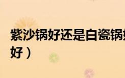 紫沙锅好还是白瓷锅好（紫砂锅好还是白瓷锅好）