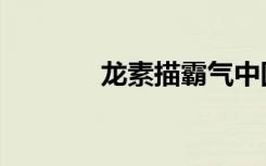 龙素描霸气中国龙（龙素描）