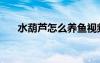 水葫芦怎么养鱼视频（水葫芦怎么养）