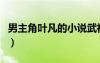 男主角叶凡的小说武神（男主角是叶凡的小说）