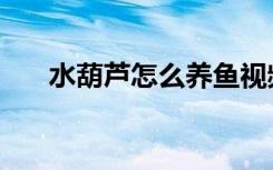 水葫芦怎么养鱼视频（水葫芦怎么养）