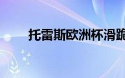 托雷斯欧洲杯滑跪（托雷斯欧洲杯）