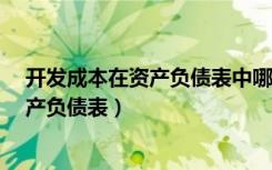 开发成本在资产负债表中哪个科目中体现?（开发成本在资产负债表）