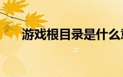 游戏根目录是什么意思（游戏根目录）