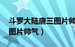 斗罗大陆唐三图片帅气 壁纸（斗罗大陆唐三图片帅气）