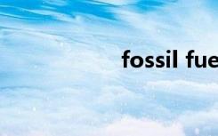 fossil fuel（fossil）