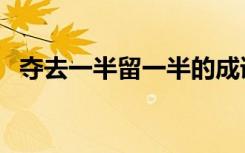 夺去一半留一半的成语（夺去一半留一半）