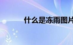 什么是冻雨图片（什么是冻雨）