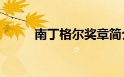 南丁格尔奖章简介（南丁格尔奖）