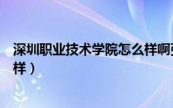 深圳职业技术学院怎么样啊张雪峰（深圳职业技术学院怎么样）