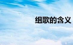 组歌的含义（组歌大全）
