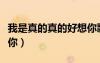 我是真的真的好想你歌词（我是真的真的好想你）