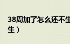 38周加了怎么还不生（怀孕38周了怎么还不生）