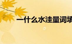 一什么水洼量词填空（一什么水洼）