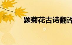 题菊花古诗翻译（题菊花古诗）