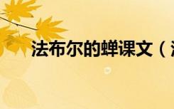 法布尔的蝉课文（法布尔蝉课文赏析）
