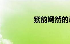 紫韵嫣然的意思（紫韵）