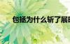 包拯为什么斩了展昭（包拯怎么死的）