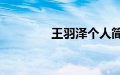 王羽泽个人简历（王羽泽）