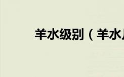 羊水级别（羊水几级就可以生了）