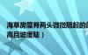海草房屋脊两头微微翘起的原因（海草房的屋脊一般比瓦房高且坡度陡）