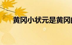 黄冈小状元是黄冈的吗（黄冈小状元）