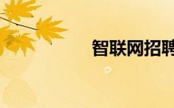 智联网招聘（智联网）