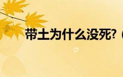 带土为什么没死?（带土为什么没死）