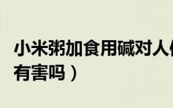小米粥加食用碱对人体有害吗（食用碱对人体有害吗）