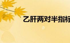 乙肝两对半指标（两对半指标）