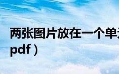 两张图片放在一个单元格（两张图片放在一个pdf）