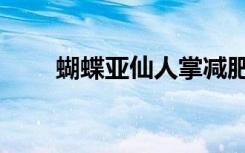 蝴蝶亚仙人掌减肥（蝴蝶亚仙人掌）