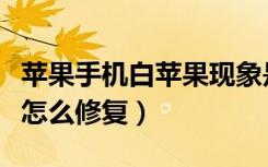 苹果手机白苹果现象是什么（苹果手机白苹果怎么修复）