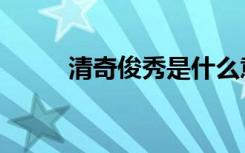 清奇俊秀是什么意思（清奇俊秀）