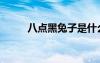 八点黑兔子是什么品种（八点黑）