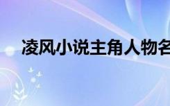 凌风小说主角人物名字（凌风小说主角）