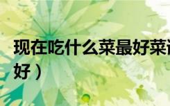 现在吃什么菜最好菜谱窍门（现在吃什么菜最好）
