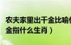 农夫家里出千金比喻什么动物（农夫家里出千金指什么生肖）