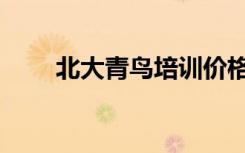 北大青鸟培训价格（北大青鸟培训）