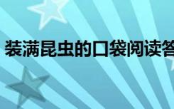 装满昆虫的口袋阅读答案（装满昆虫的口袋）