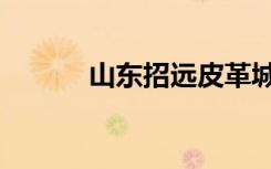 山东招远皮革城（招远皮革城）