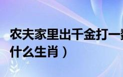 农夫家里出千金打一数字（农夫家里出千金指什么生肖）