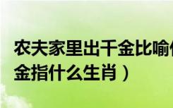 农夫家里出千金比喻什么动物（农夫家里出千金指什么生肖）