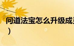 问道法宝怎么升级成灵物（问道法宝怎么升级）
