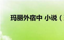 玛丽外宿中 小说（玛丽外宿中的歌曲）
