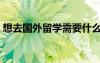 想去国外留学需要什么条件（想去国外留学）