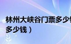林州大峡谷门票多少钱一位（林州大峡谷门票多少钱）