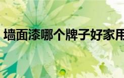 墙面漆哪个牌子好家用（墙面漆哪个牌子好）