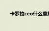 卡罗拉ceo什么意思（ceo什么意思）
