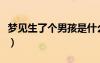 梦见生了个男孩是什么征兆（梦见生了个男孩）